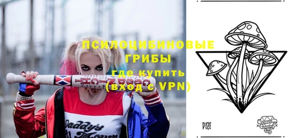 гашик Абинск